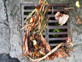 petite/grille.jpg