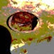 petite13/x43.jpg