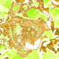 petite26/08v.jpg