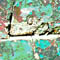 petite30/x30.jpg