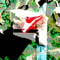petite30/x43.jpg