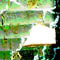 petite30/x48.jpg