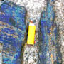 petite31/x03.jpg