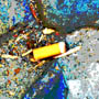 petite31/x07.jpg