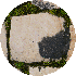petite9/17.gif