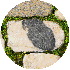 petite9/21.gif