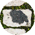 petite9/47.gif