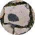 petite9/58.gif