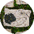 petite9/65.gif
