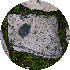 petite9/87.gif