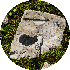 petite9/90.gif