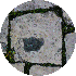 petite9/99.gif